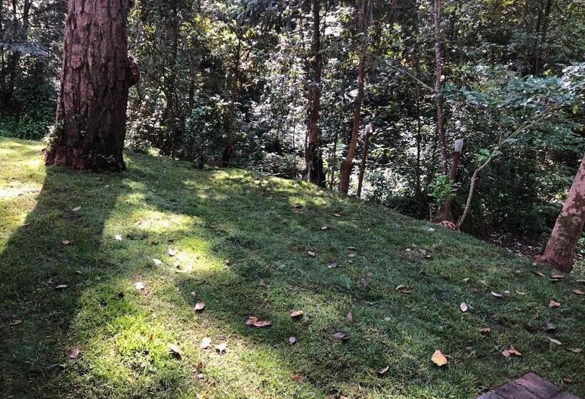 酒店 Glamping Rio Valle De Bravo