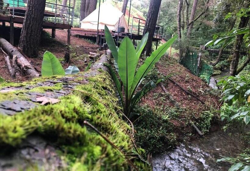 酒店 Glamping Rio Valle De Bravo