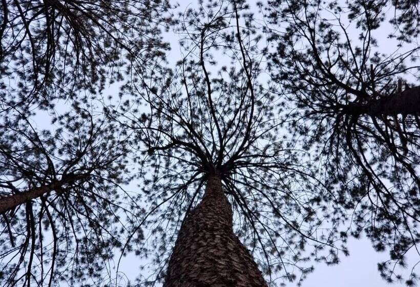 酒店 Glamping Rio Valle De Bravo