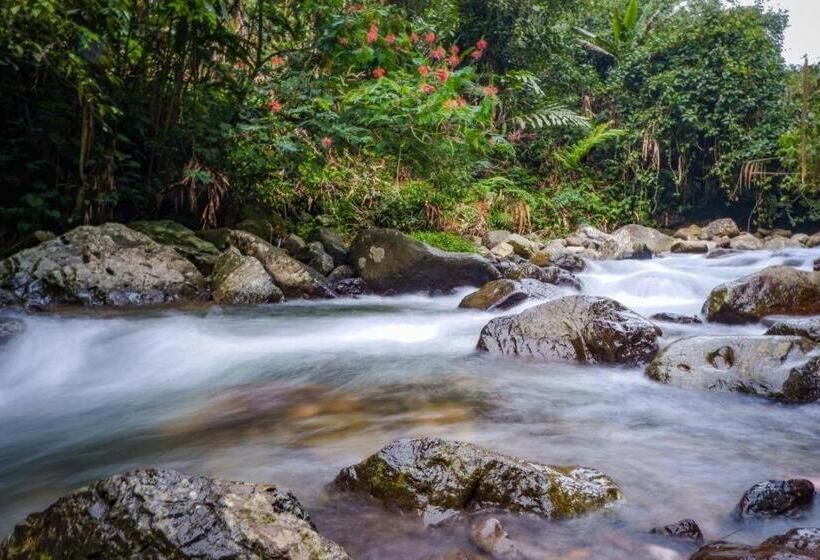 فندق Lembah Nyiur By Oyo