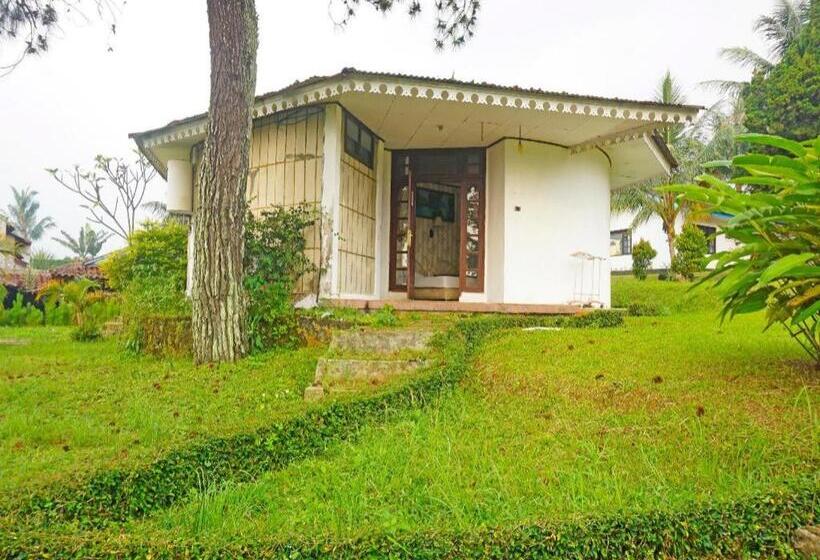 هتل Lembah Nyiur By Oyo