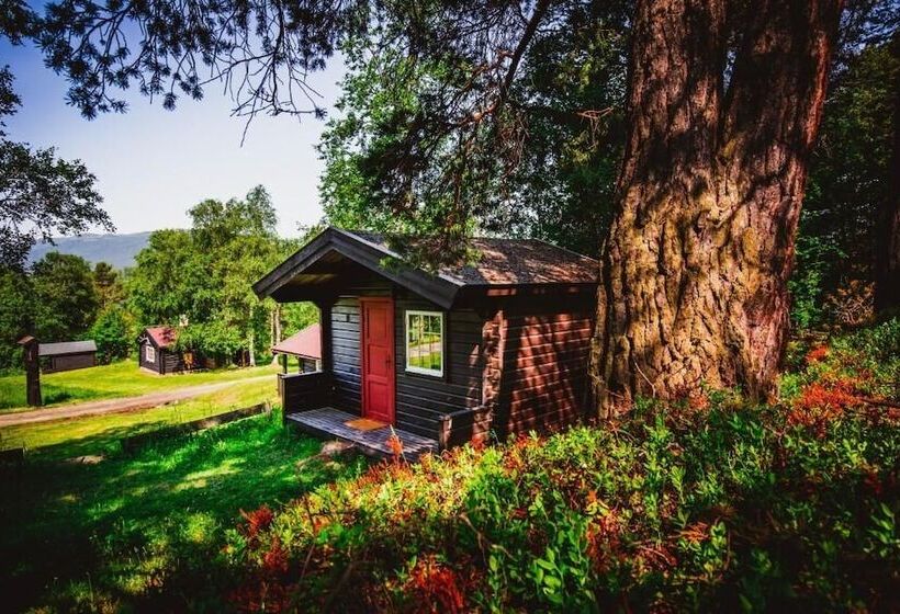 Отель Ljoshaugen Camping