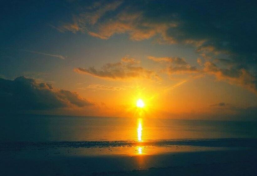 בית מלון כפרי Mambo Ocean Resort