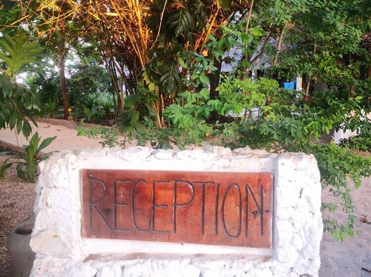 בית מלון כפרי Mambo Ocean Resort