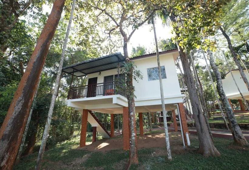 酒店 Misty Dam Resort