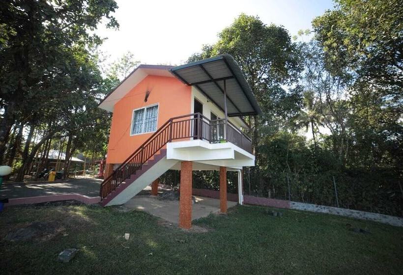 酒店 Misty Dam Resort