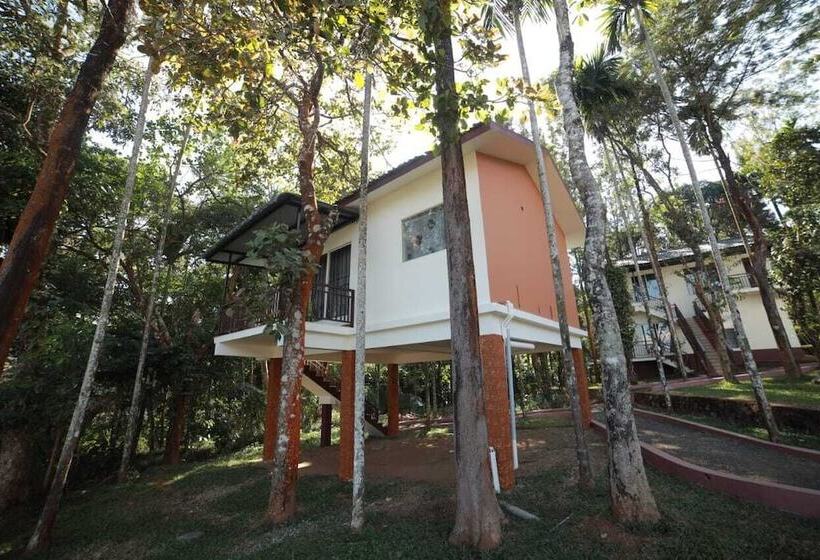 酒店 Misty Dam Resort