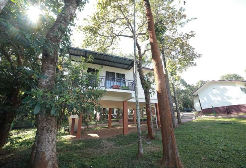 酒店 Misty Dam Resort