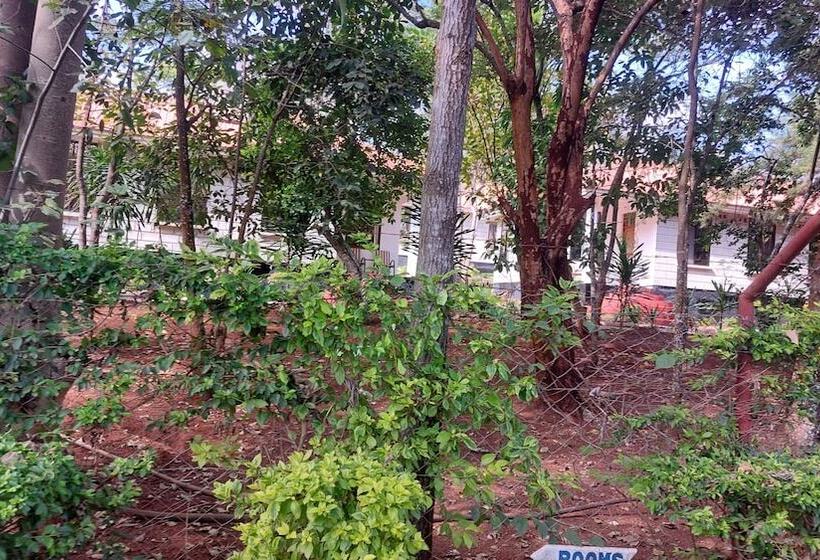 ホテル Ngorongoro Corridor Lodge Karatu