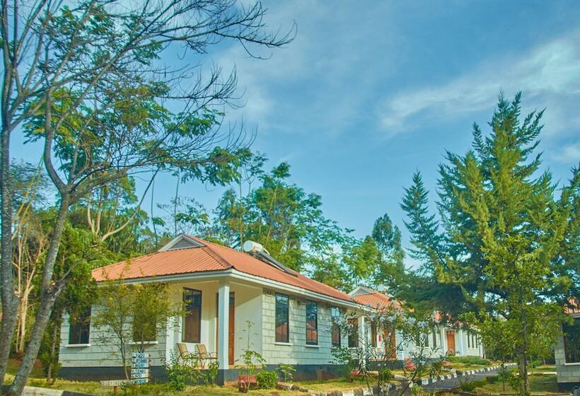 ホテル Ngorongoro Corridor Lodge Karatu