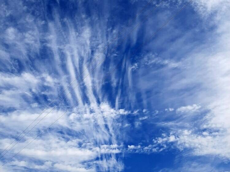 فندق Oren Kasauli