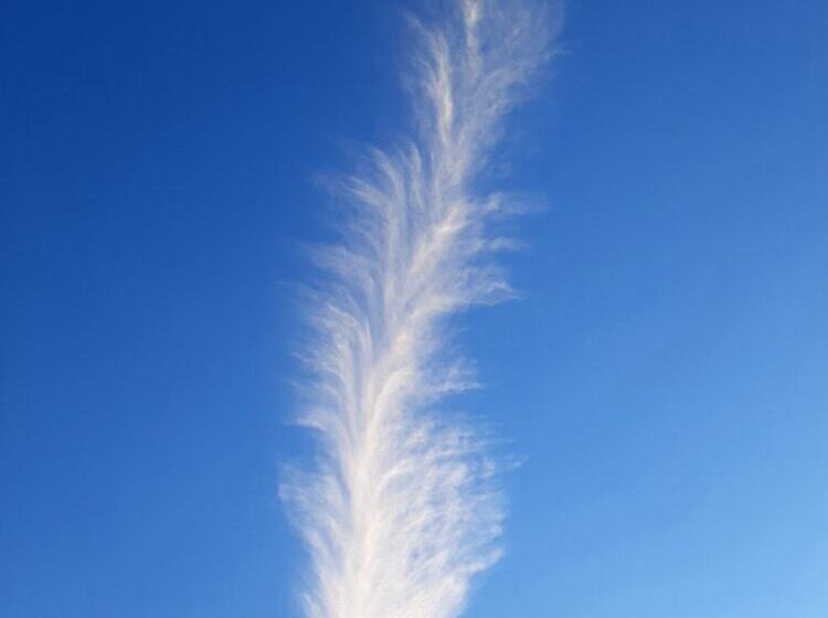 Отель Oren Kasauli