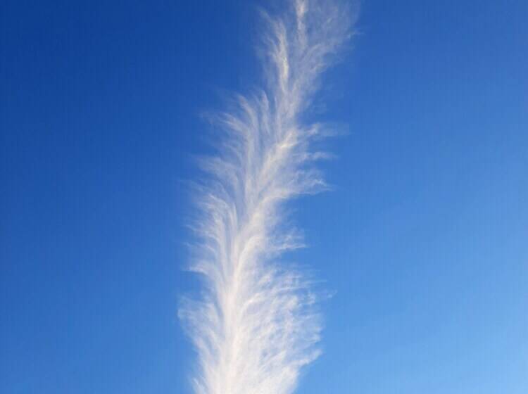 Отель Oren Kasauli