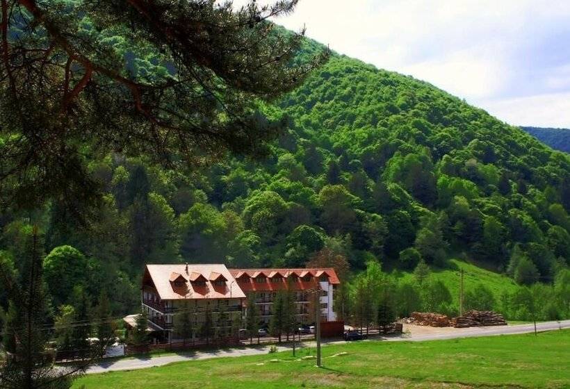 فندق Pensiunea Mai