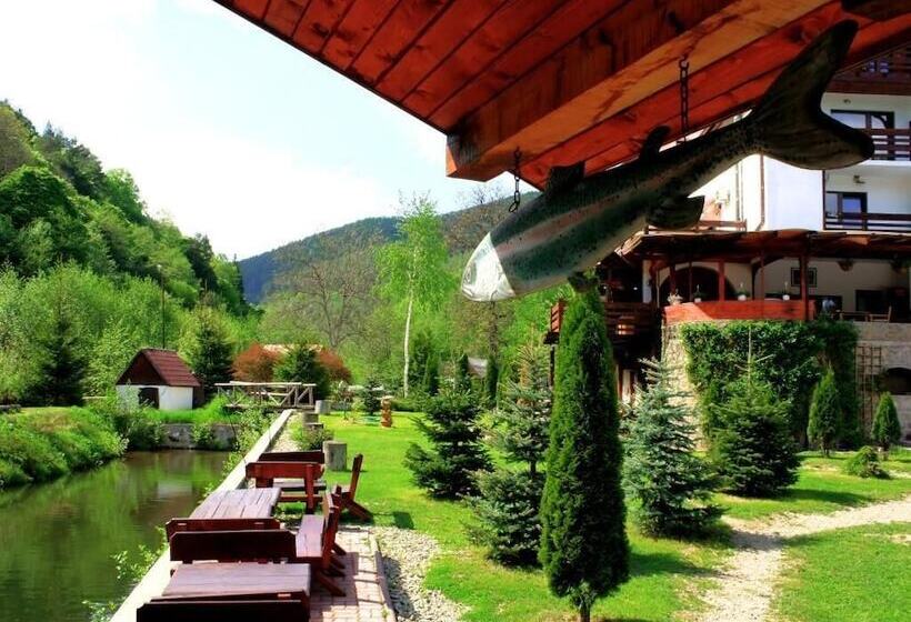 فندق Pensiunea Mai