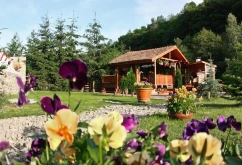 فندق Pensiunea Mai