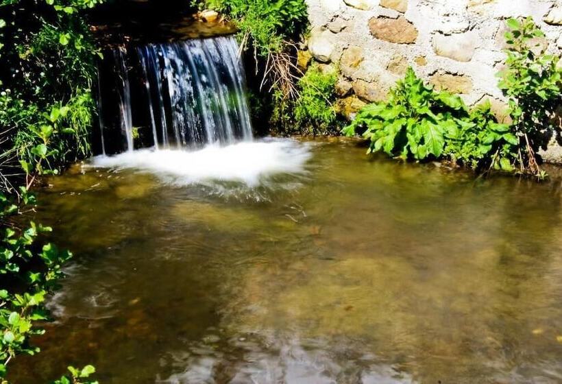 فندق Pensiunea Mai