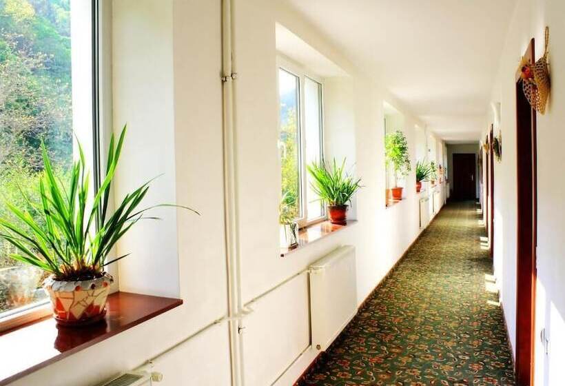 فندق Pensiunea Mai