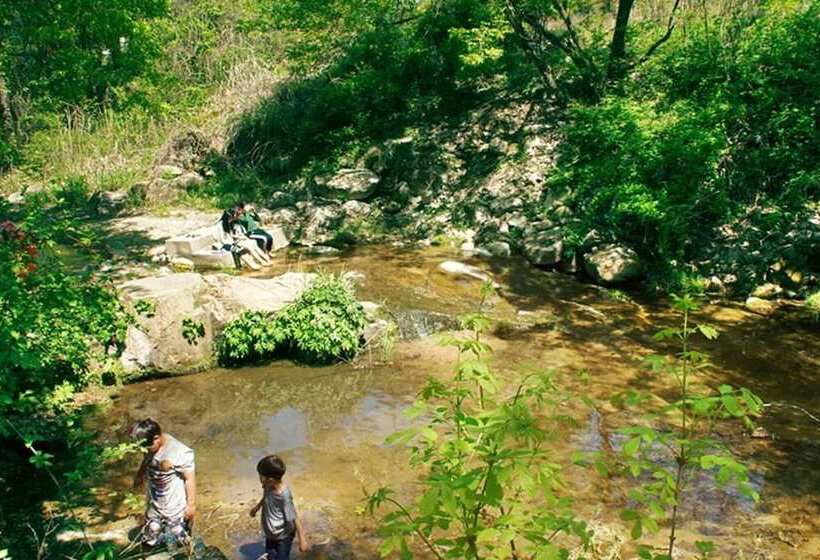 Hotel Pocheon Yeohaeng Sketch Pension