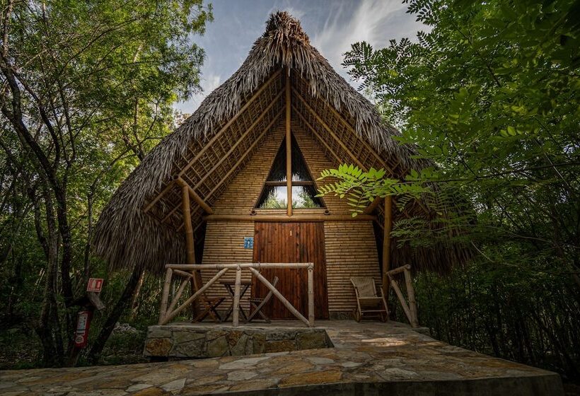 בית מלון כפרי Selva Teenek