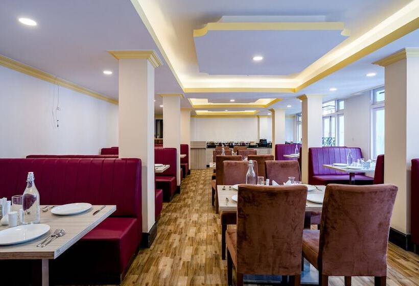 酒店 Sharolyn Boutique