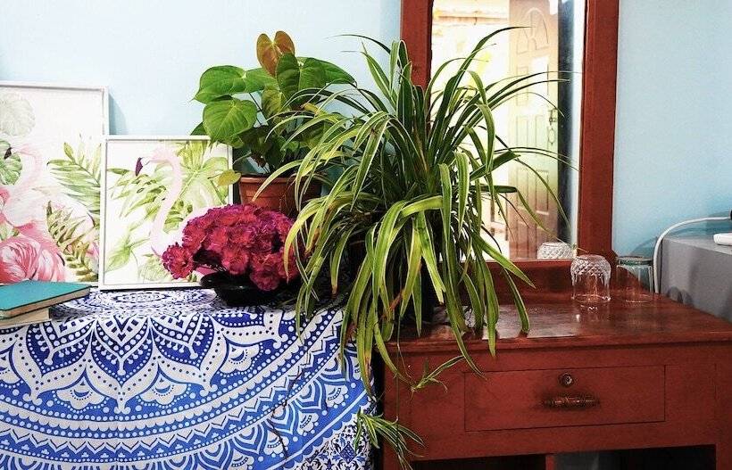 酒店 Casanova By The Sea