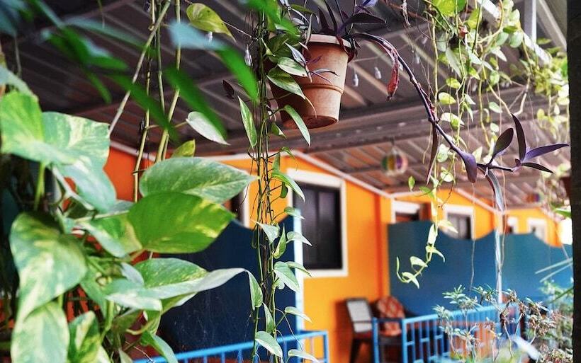 酒店 Casanova By The Sea