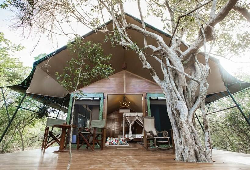 Отель Tribe Yala  Luxury Camping