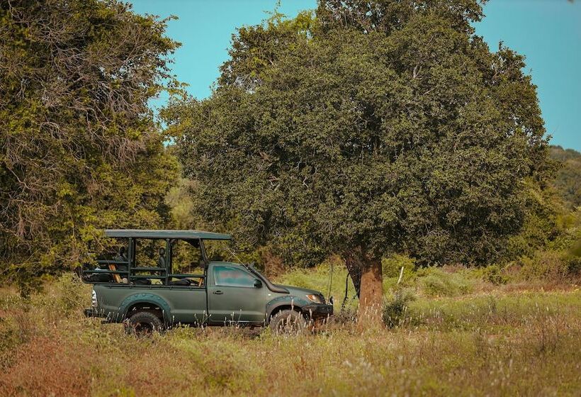 Отель Tribe Yala  Luxury Camping