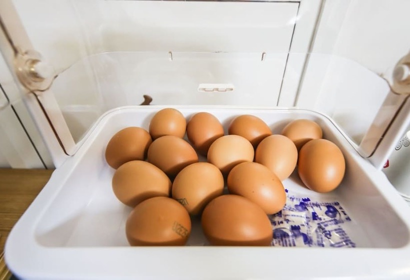 모텔 Gyeongsan Shwimpyo