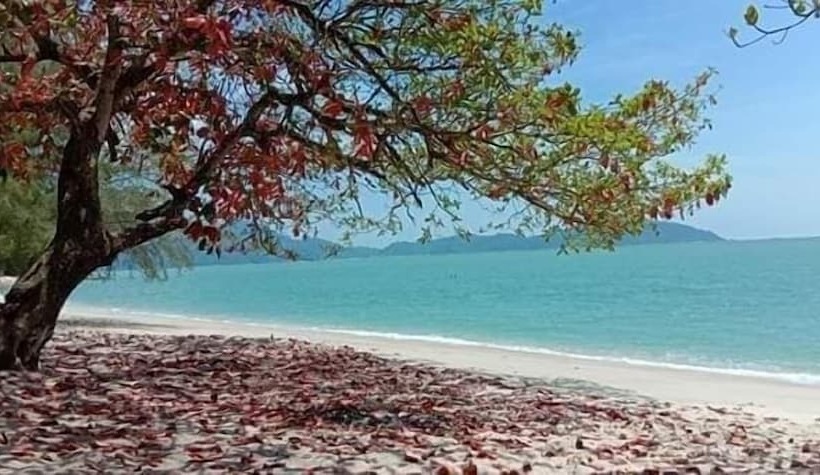 فندق على الطريق Kamila Teluk Senangin