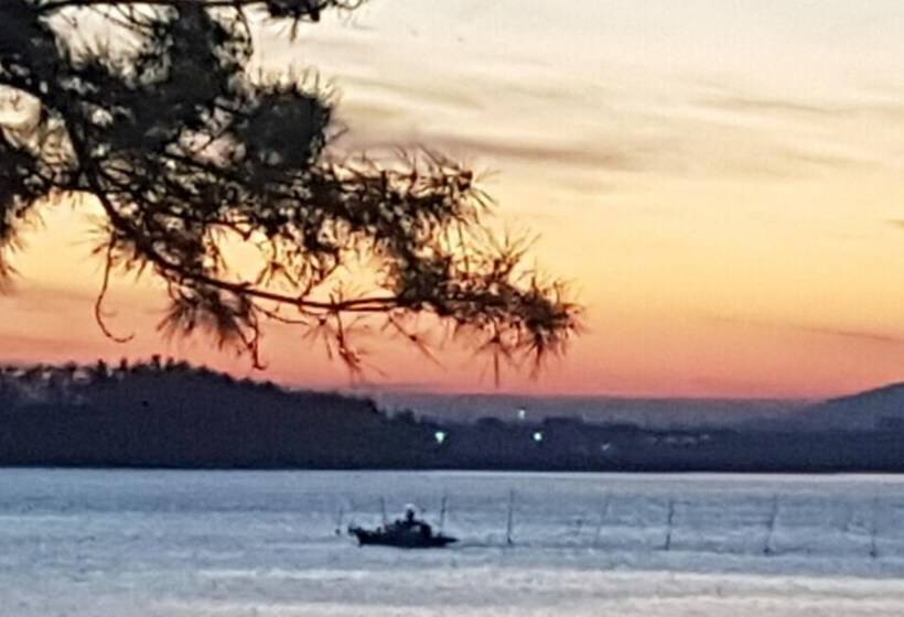 Muan Tommeori Resort Pension