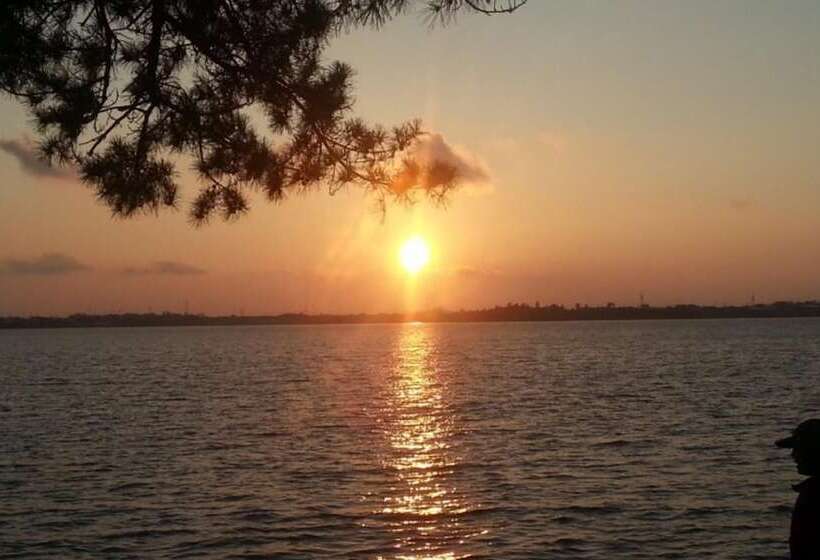 Muan Tommeori Resort Pension