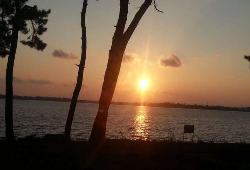 Muan Tommeori Resort Pension