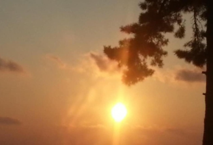 Muan Tommeori Resort Pension