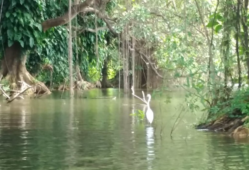 호스텔 Hostal Y Restaurante Rancho Merida