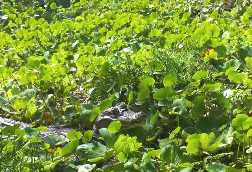 호스텔 Hostal Y Restaurante Rancho Merida