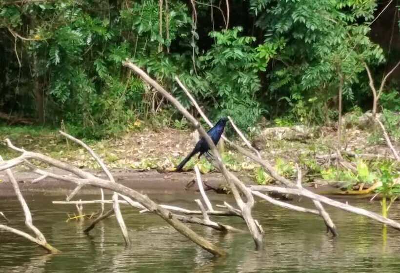 호스텔 Hostal Y Restaurante Rancho Merida