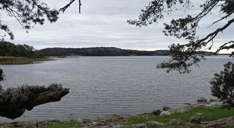 Резиденция Arbottna Herrgård