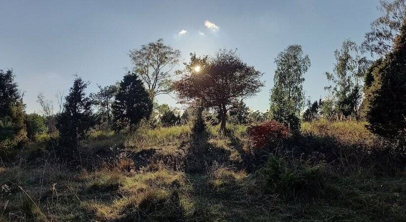 Резиденция Arbottna Herrgård