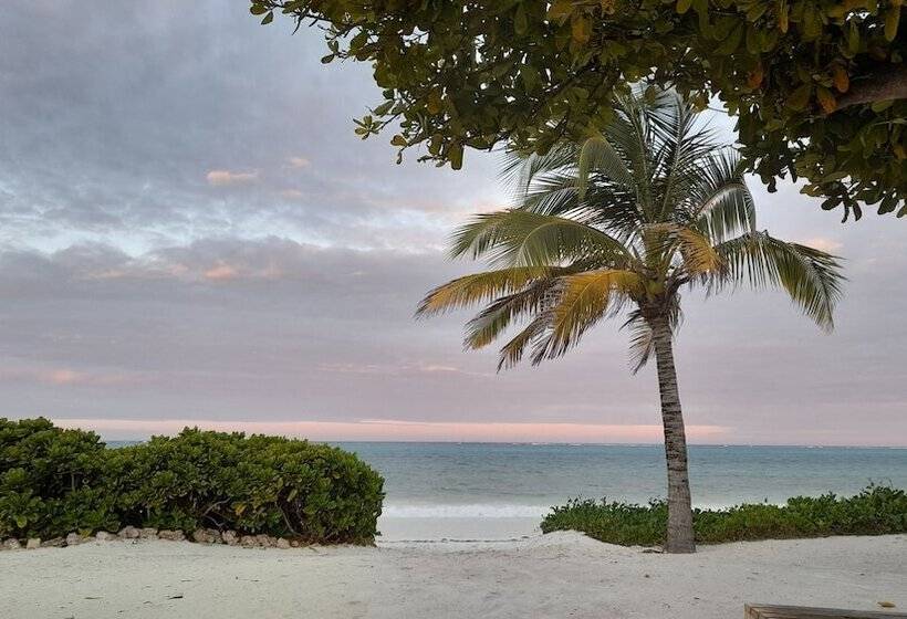 אתר נופש Kijani Beach Villas