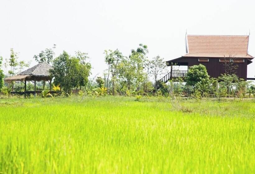 渡假胜地  Mangala Village
