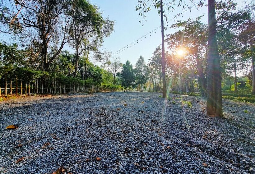 אתר נופש The Wild Khao Yai   Glamping