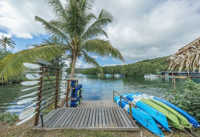 The Little White Bird Traveller Hostel