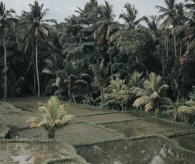 אתר נופש Villa Ravaka Ubud