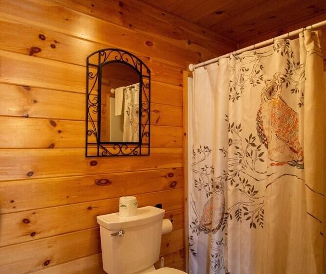 4br Mountain View Cabin