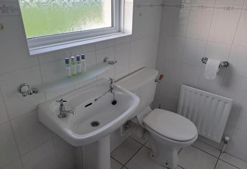 Bed and Breakfast New Lisnagalt Lodge