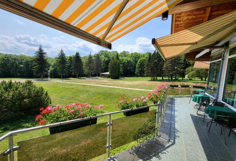 Harz Hotel Vogelberg