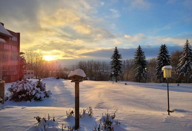 Harz Hotel Vogelberg