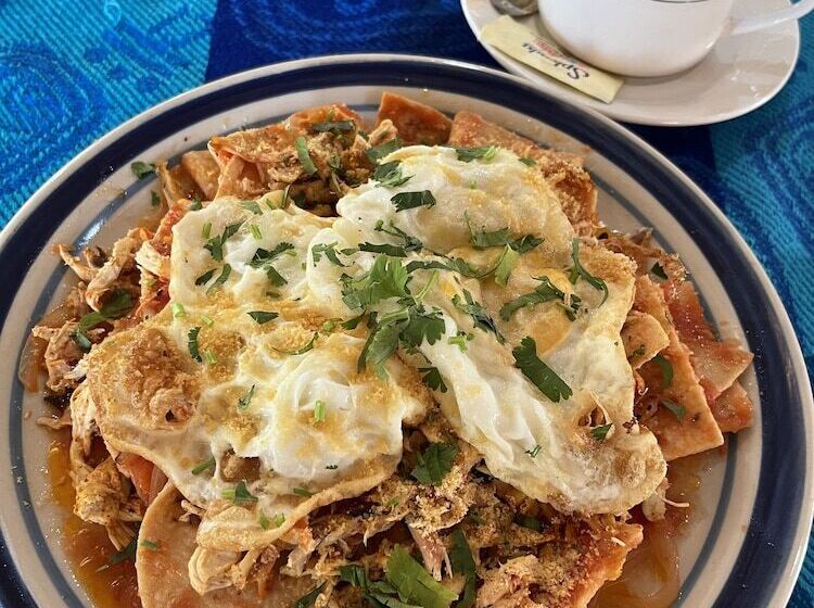 酒店 Treehouse Tulum H2ojos